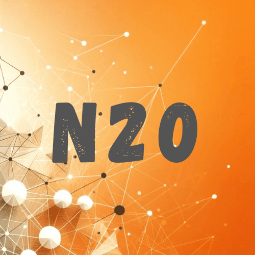 N20 | Formación & Desarrollo